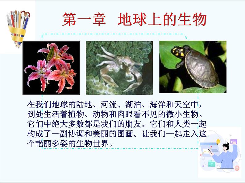 华东师大版七年级科学上册第1章 1 《艳丽多姿的生物》课件含视频+同步练习含答案+素材01