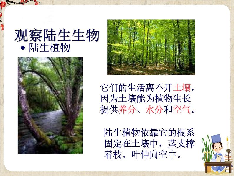 华东师大版七年级科学上册第1章 1 《艳丽多姿的生物》课件含视频+同步练习含答案+素材06