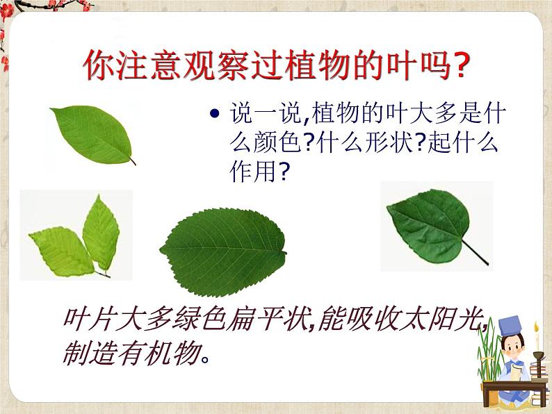 华东师大版七年级科学上册第1章 1 《艳丽多姿的生物》课件含视频+同步练习含答案+素材07