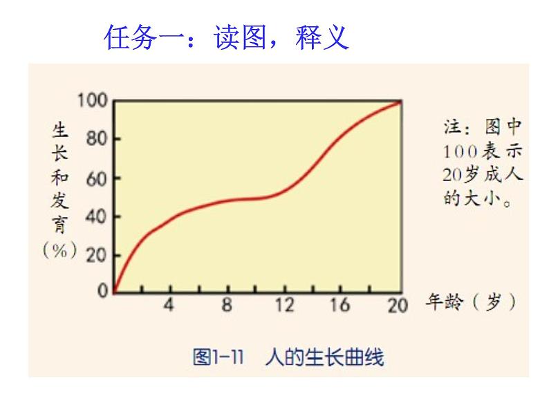 浙教版七年级下册科学 1.2走向成熟 课件第2页