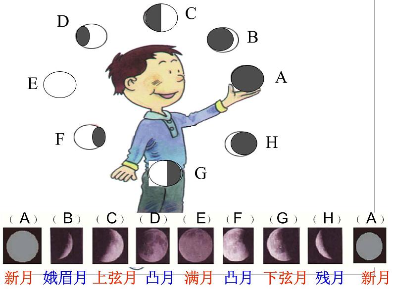 浙教版七年级下册科学 4.4月相 课件第5页