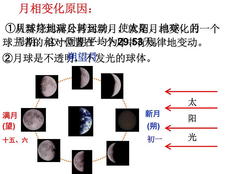 浙教版七年级下册科学 4.4月相 课件第6页