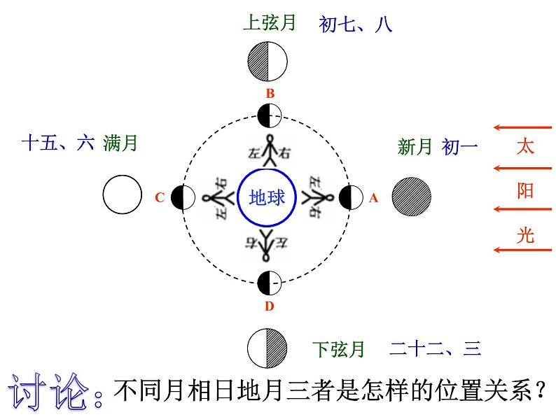 浙教版七年级下册科学 4.4月相 课件第7页