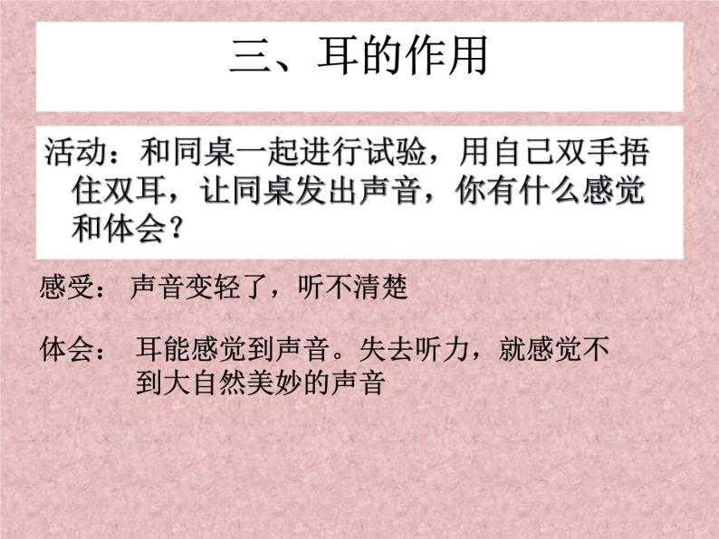 浙教版七年级下册科学 2.3耳和听觉 课件07