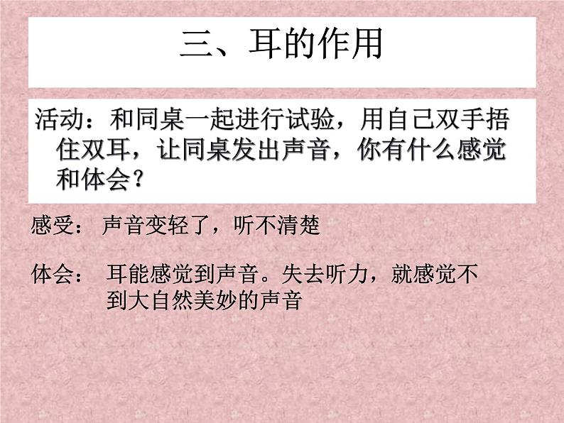 浙教版七年级下册科学 2.3耳和听觉 课件第7页