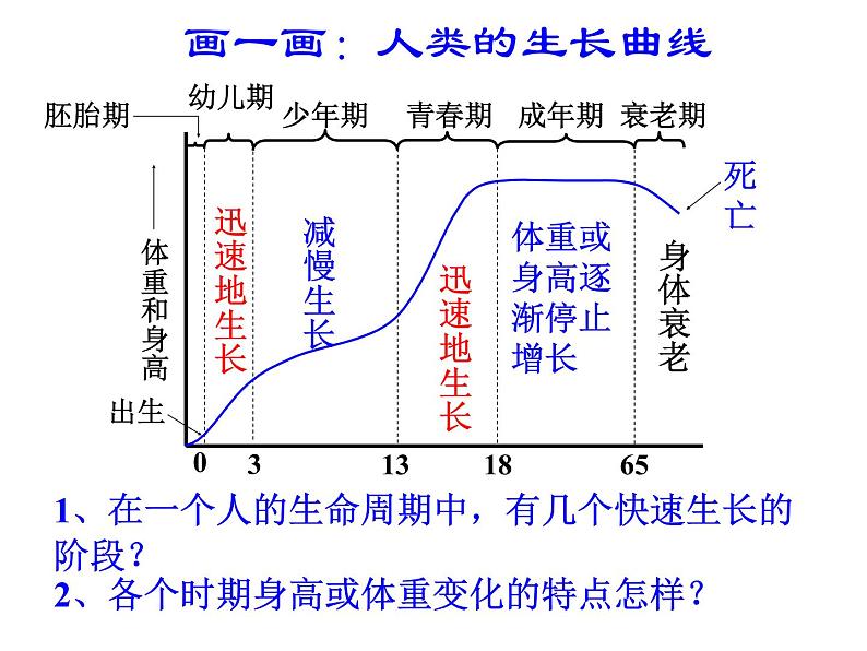 浙教版七年级下册科学 1.2走向成熟 课件第6页