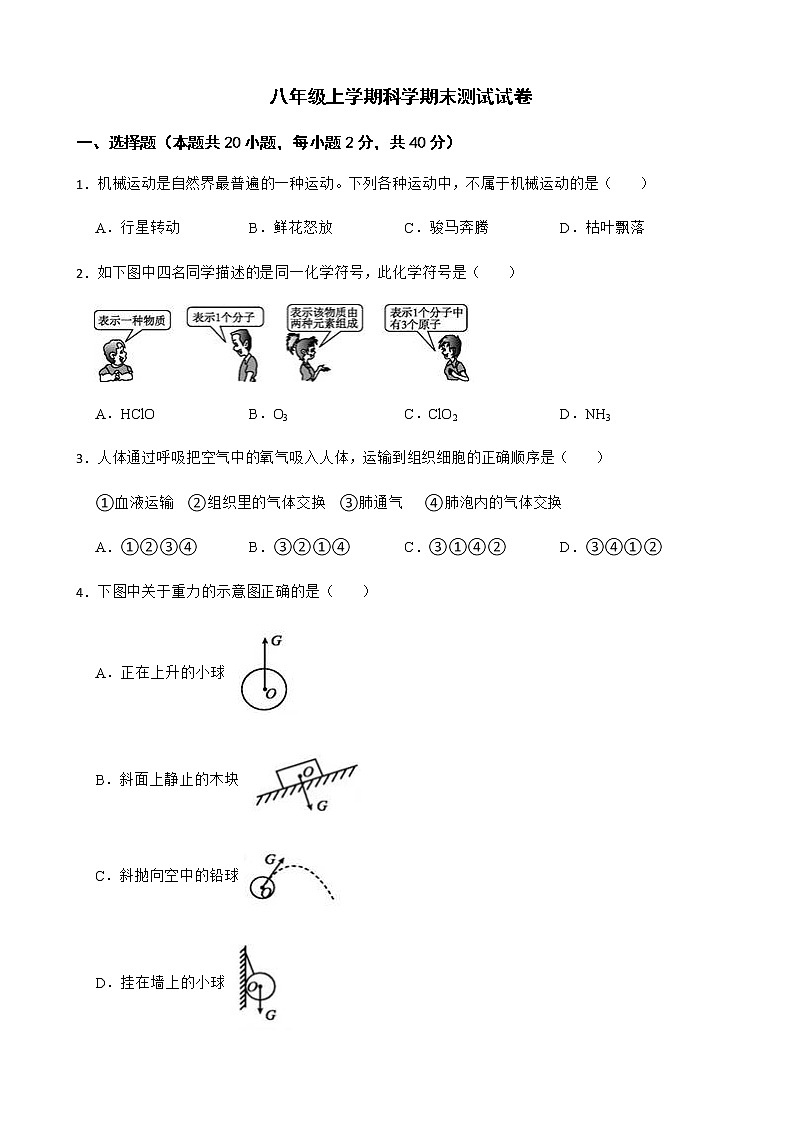 浙江省宁波市宁波八年级上学期科学期末测试试卷及答案01