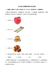 浙江省绍兴市九年级上学期科学期末考试试卷及答案