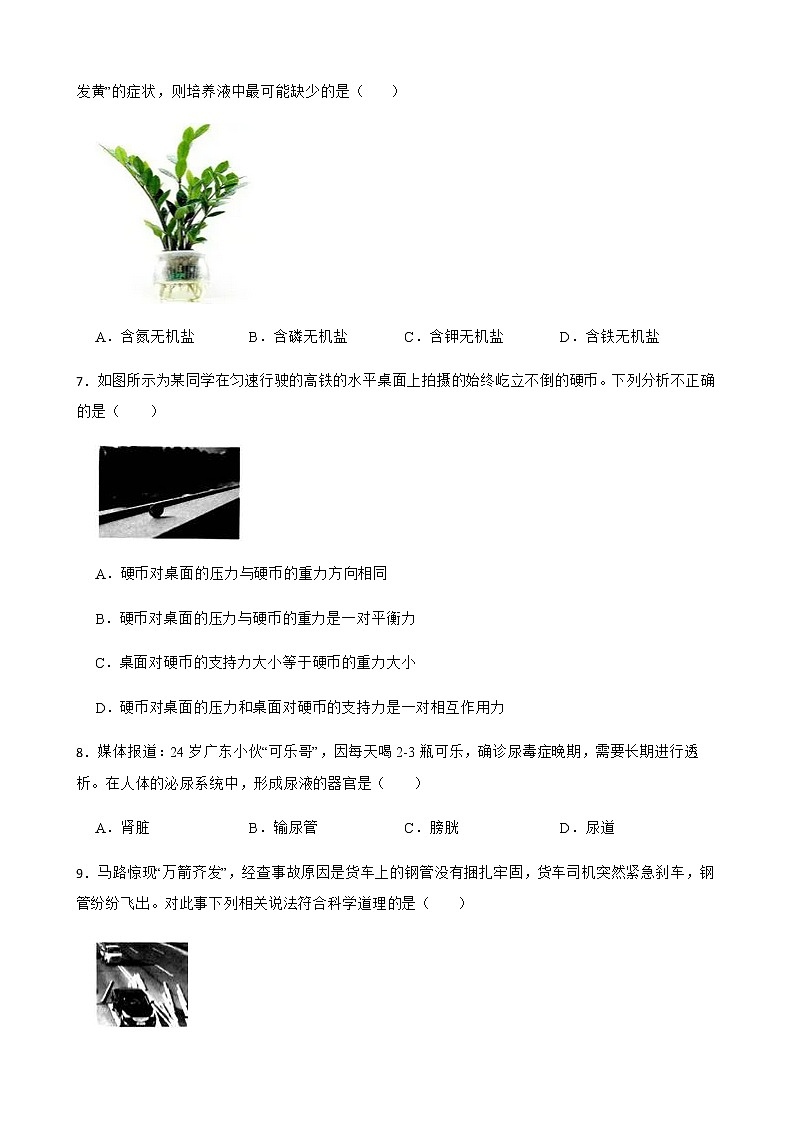 浙江省宁波市奉化区八年级上学期科学期末考试试卷及答案02