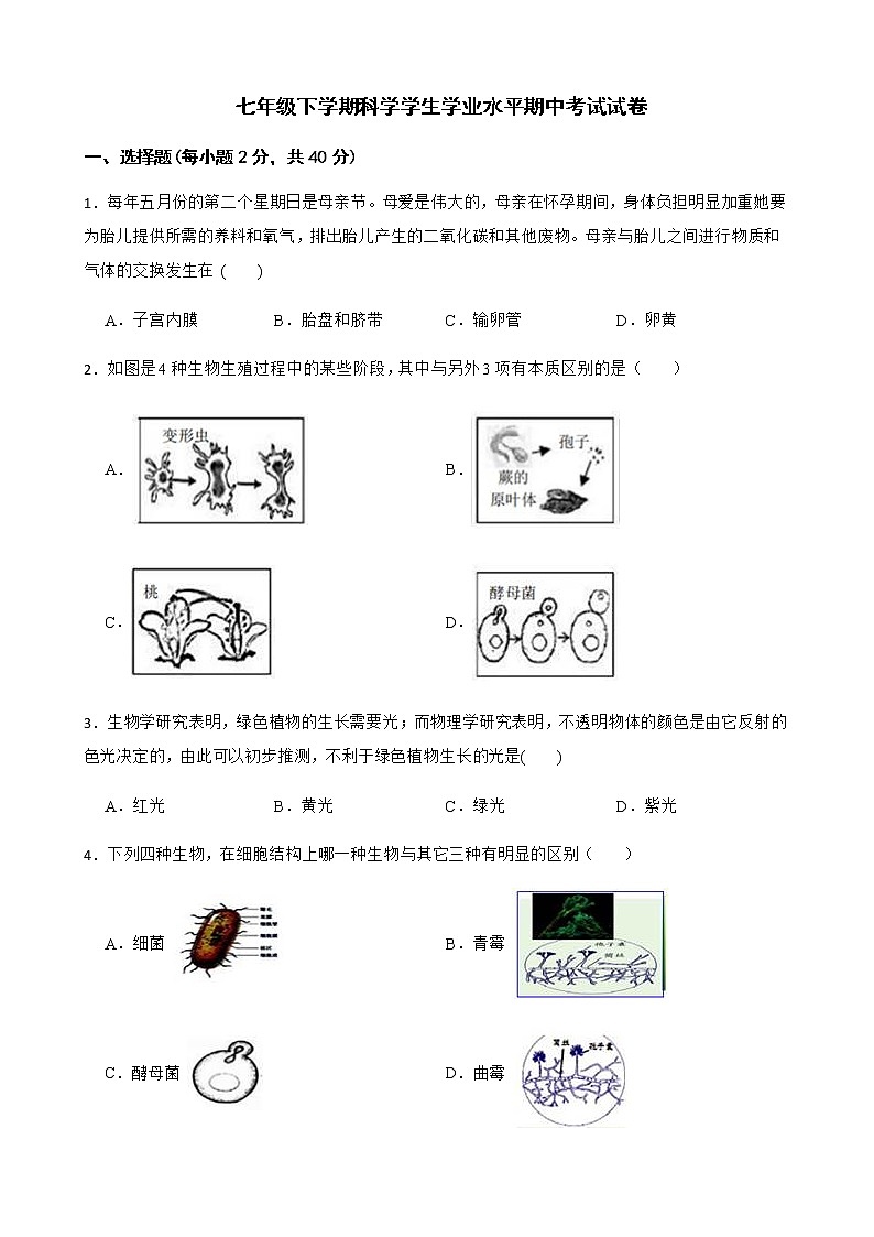 浙江省温州市七年级下学期科学学生学业水平期中考试试卷及答案第1页