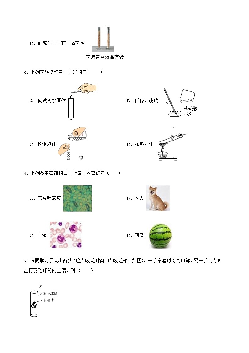 浙江省舟山市九年级下学期科学3月月考试卷及答案第2页