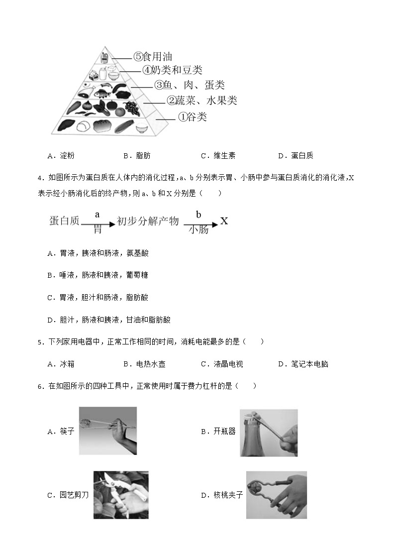 浙江省杭州市拱墅区九年级上学期科学期末教学质量调研试卷及答案02