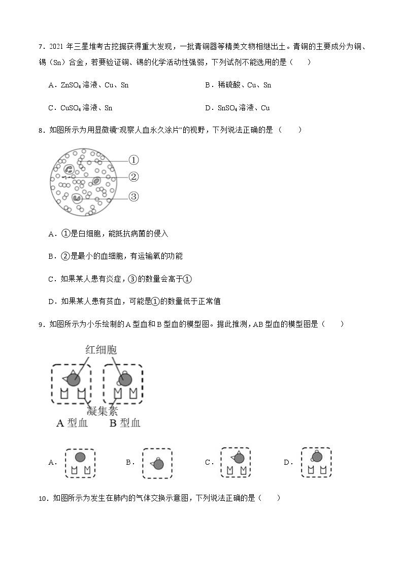 浙江省杭州市拱墅区九年级上学期科学期末教学质量调研试卷及答案03