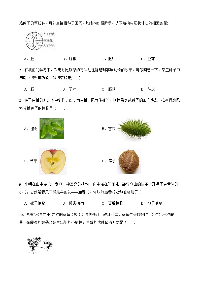 浙教版科学七下期末复习阶梯训练：植物（基础巩固）及答案02