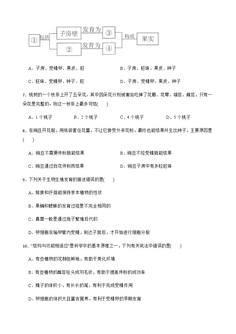 浙教版科学七下期末复习阶梯训练：植物（提高训练）及答案03