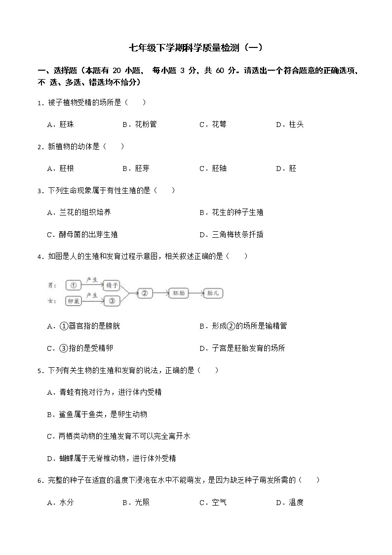 浙江省台州市七年级下学期科学质量检测及答案01