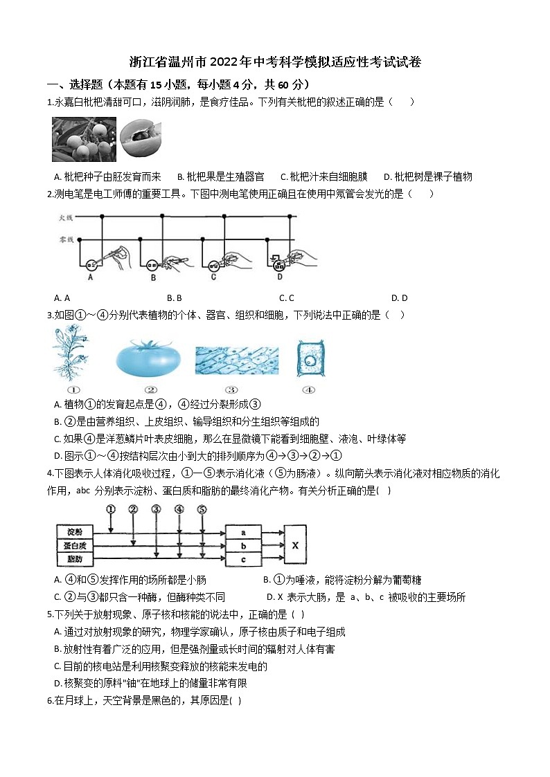 浙江省温州市2022年中考科学模拟适应性考试试卷(word版含答案)第1页