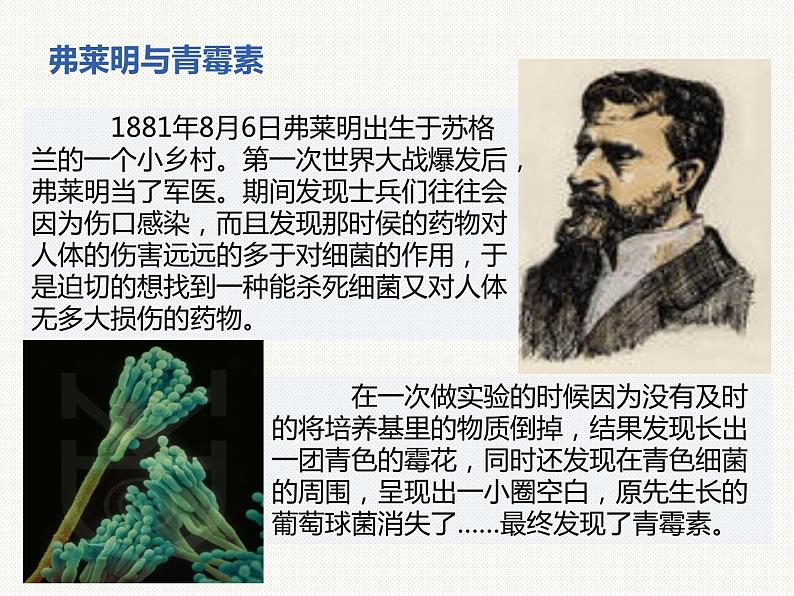 1.3科学观察—浙教版七年级科学上册课件(共40张PPT)03