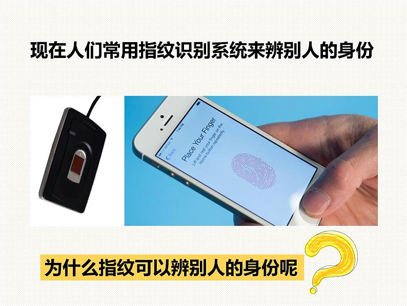 1.3科学观察—浙教版七年级科学上册课件(共40张PPT)06