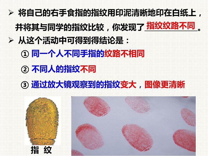 1.3科学观察—浙教版七年级科学上册课件(共40张PPT)08