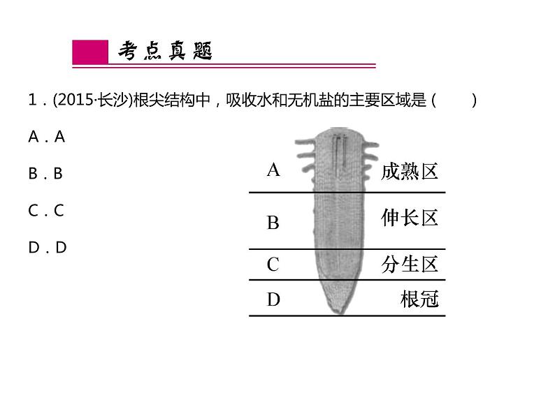 浙教版初中科学 第3课时《绿色植物的水分代谢和无机盐代谢》中考冲刺复习课件第6页