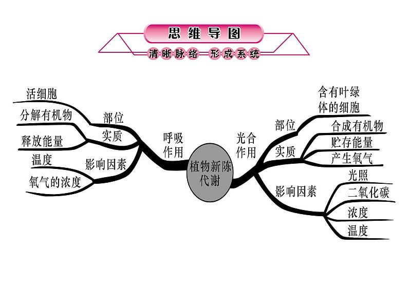 浙教版初中科学 第4课时《绿色植物的光合和呼吸作用》中考冲刺复习课件第2页