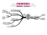 浙教版初中科学 第7课时《生命活动的调节》中考冲刺复习课件