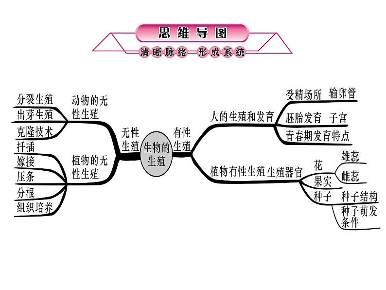 浙教版初中科学 第8课时《生物的生殖和发育》中考冲刺复习课件02