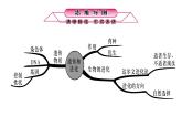 浙教版初中科学 第9课时《遗传与进化》中考冲刺复习课件