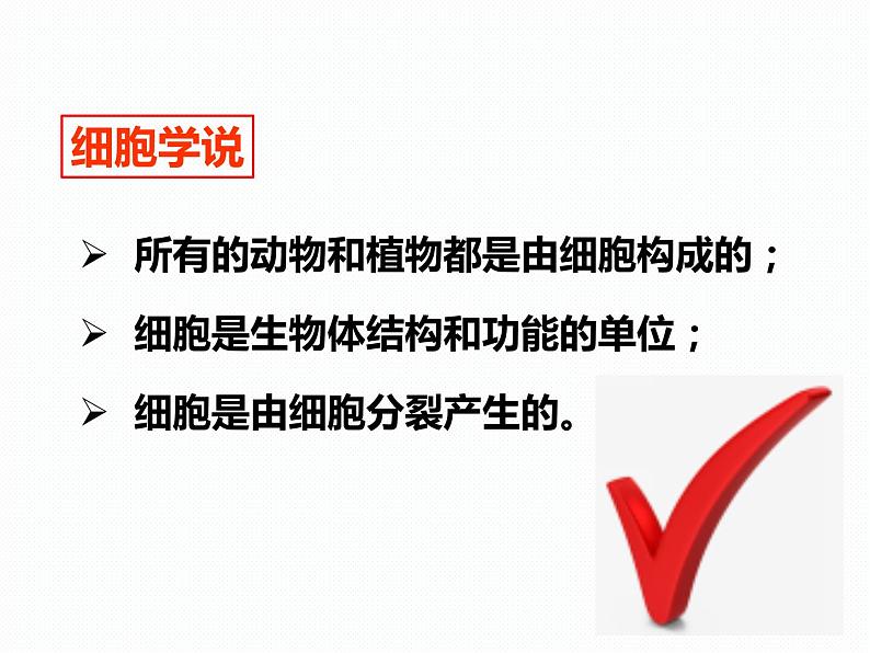 2.2 细胞（1）—浙教版七年级科学上册课件(共58张PPT)08