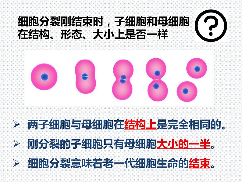 2.3 生物体的结构层次—浙教版七年级科学上册课件(共68张PPT)08