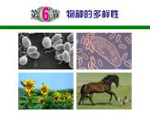 2.6 物种的多样性—浙教版七年级科学上册课件(共72张PPT)