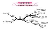 浙教版初中科学 第13课时《波》中考冲刺复习课件