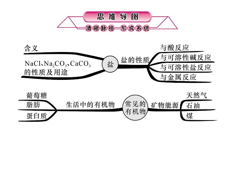 浙教版初中科学 第32课时《常见的化合物（二）》中考冲刺复习课件02