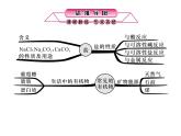 浙教版初中科学 第32课时《常见的化合物（二）》中考冲刺复习课件