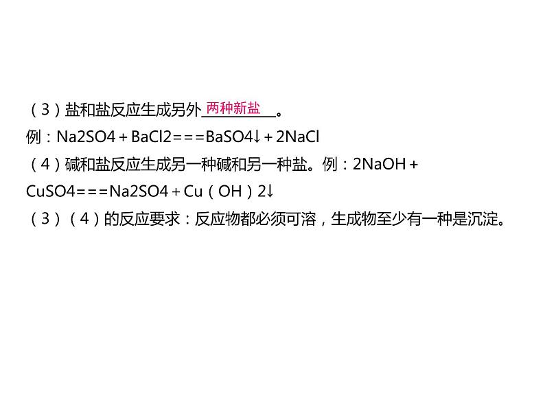 浙教版初中科学 第32课时《常见的化合物（二）》中考冲刺复习课件06