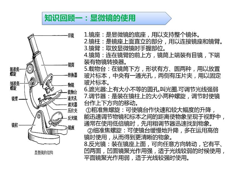 浙教版初中科学 《生物实验》中考冲刺二轮复习课件03