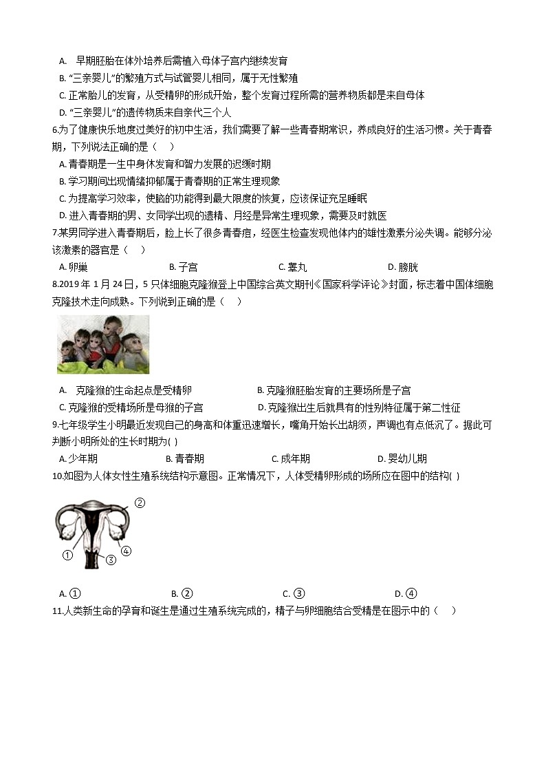 2021-2022学年华东师大版科学七年级下册 第6章 6.2人的生殖与发育 课时练习（含答案解析）第2页