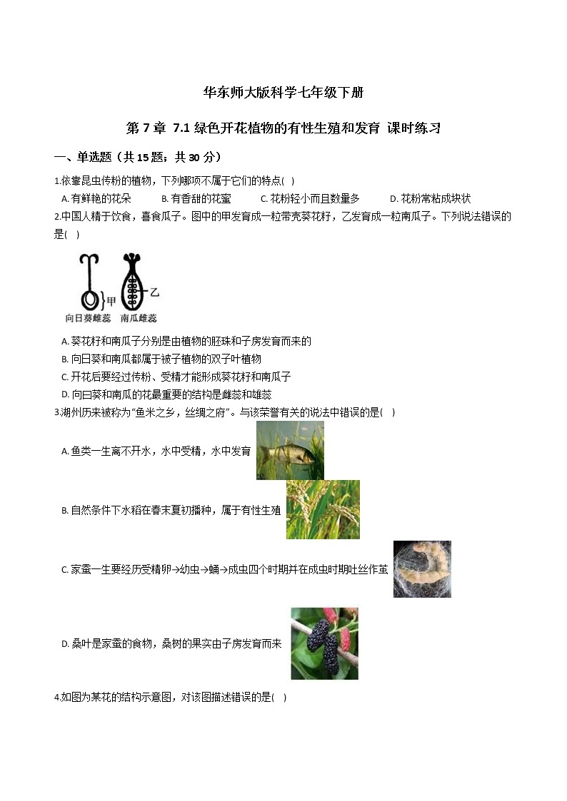 2021-2022学年华东师大版科学七年级下册 第7章 7.1绿色开花植物的有性生殖和发育 课时练习（含答案解析）01