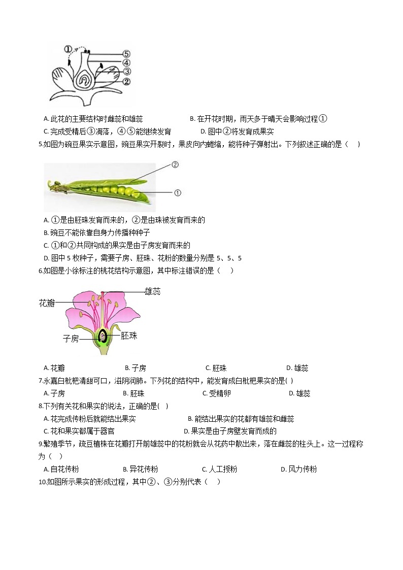 2021-2022学年华东师大版科学七年级下册 第7章 7.1绿色开花植物的有性生殖和发育 课时练习（含答案解析）02