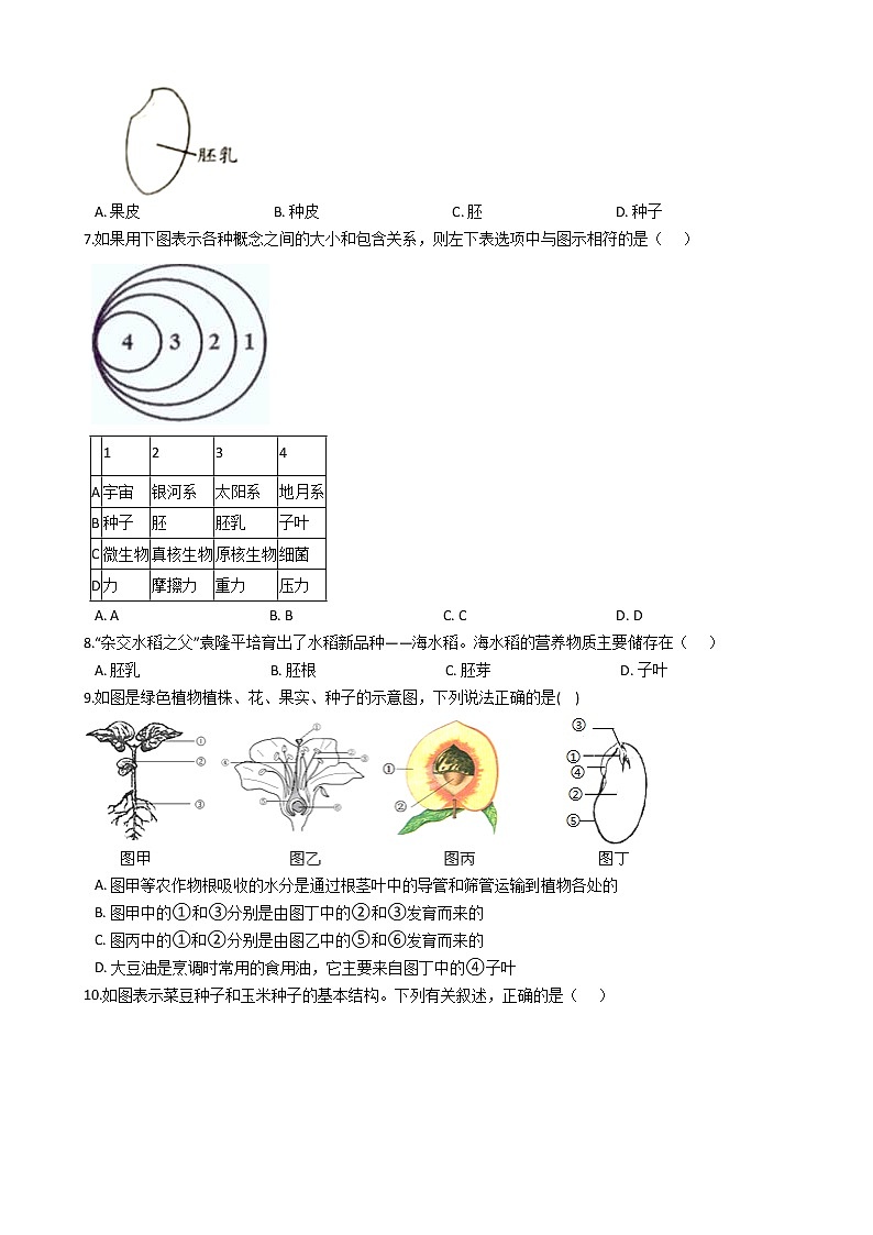 2021-2022学年华东师大版科学七年级下册 第7章 7.2种子的萌发和幼苗形成 课时练习（含答案解析）第2页