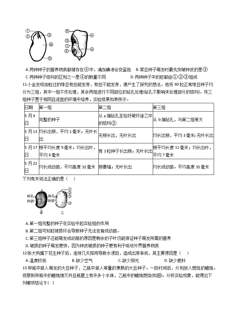 2021-2022学年华东师大版科学七年级下册 第7章 7.2种子的萌发和幼苗形成 课时练习（含答案解析）第3页