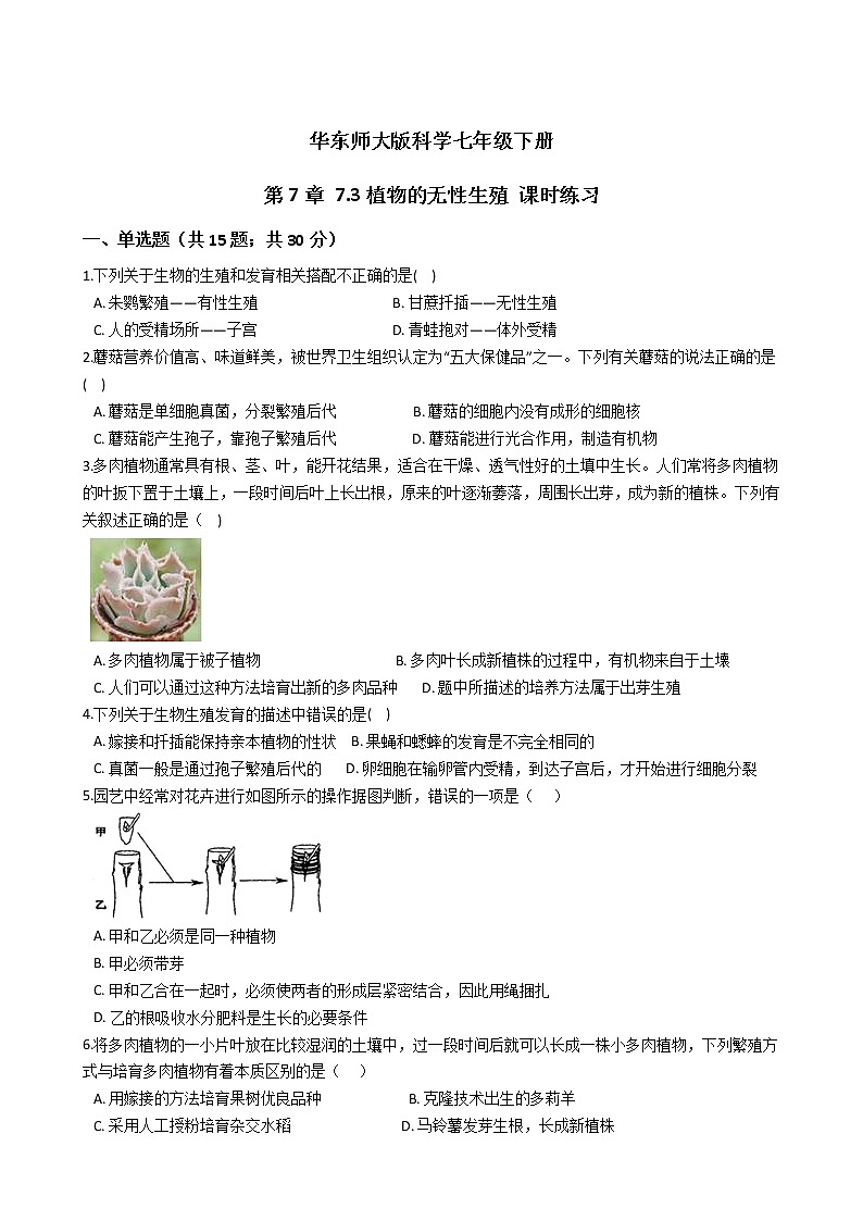 2021-2022学年华东师大版科学七年级下册 第7章 7.3植物的无性生殖 课时练习（含答案解析）01