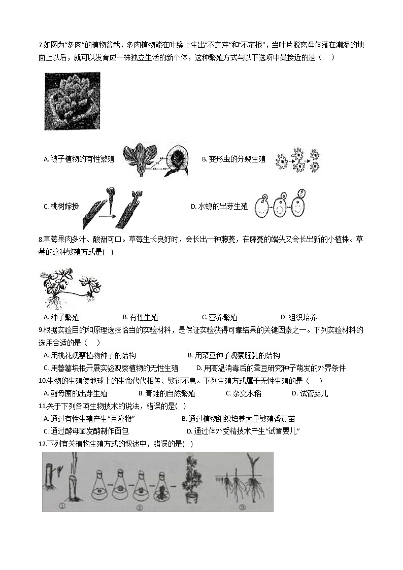 2021-2022学年华东师大版科学七年级下册 第7章 7.3植物的无性生殖 课时练习（含答案解析）02