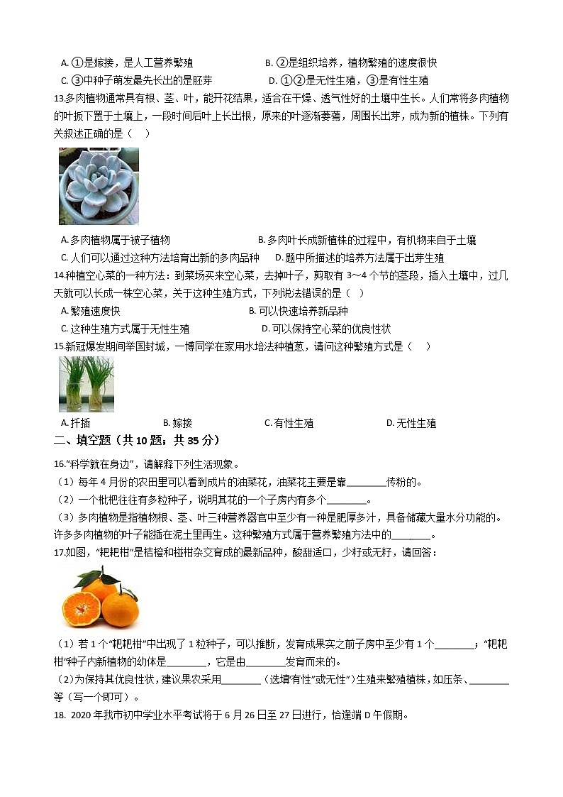 2021-2022学年华东师大版科学七年级下册 第7章 7.3植物的无性生殖 课时练习（含答案解析）03