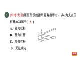 浙教版九年级科学上册第3章能量的转化与守恒专项训练一：简单机械习题课件