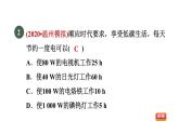 浙教版九年级科学上册第3章能量的转化与守恒专项训练二：电能和电热习题课件