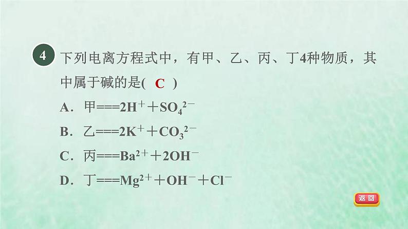 浙教版九年级科学上册第1章物质及其变化第2节物质的酸碱性习题课件06