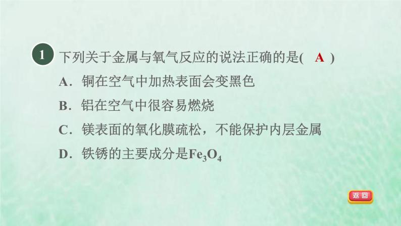 浙教版九年级科学上册第2章物质转化与材料利用第2节金属的化学性质第1课时金属与氧气的反应金属与酸的反应习题课件03