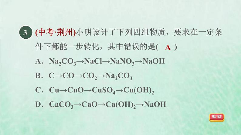 浙教版九年级科学上册第2章物质转化与材料利用第5节物质的转化第3课时化合物之间的相互转化习题课件05